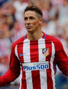 Fernando_Torres_thumb_img
